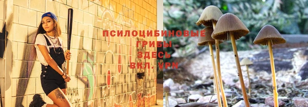 ГАЛЛЮЦИНОГЕННЫЕ ГРИБЫ Алексин