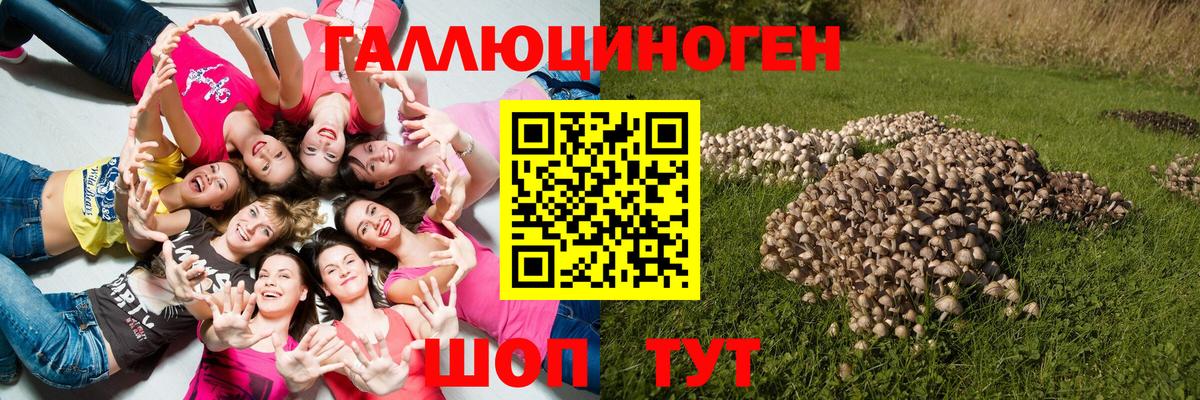 Псилоцибиновые грибы мухоморы  что такое   Шатура  Псилоцибиновые грибы мухоморы  Вход с VPN 