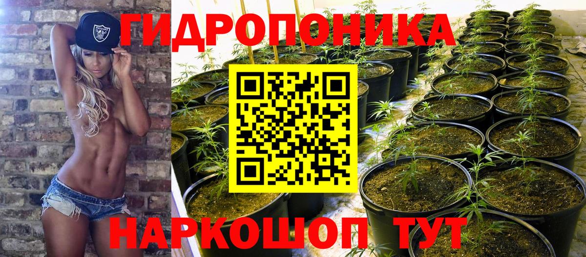 МАРИХУАНА Amnesia Шатура